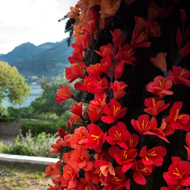 Cartotecnica Rossi - Immagine 2