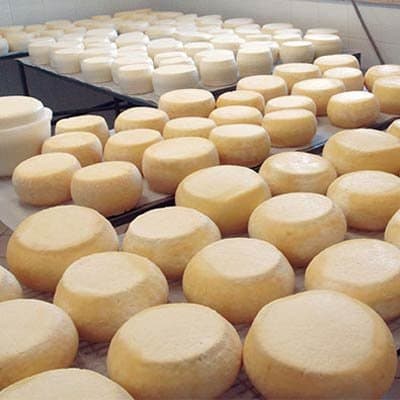 Caseificio Artigianale Pacioni - Immagine 2