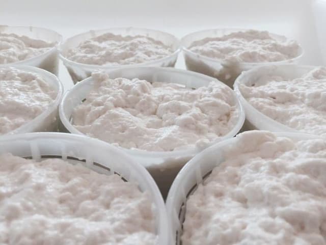 Caseificio del Sole - Immagine 2