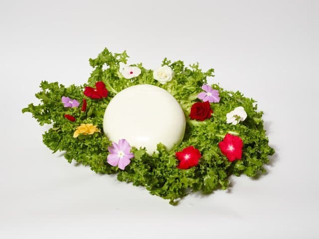 Caseificio Porta Roma - Immagine 2