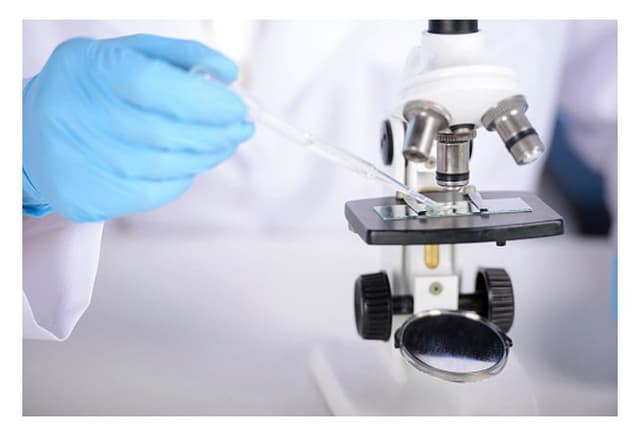 Centro Analisi Vitale - Immagine 1