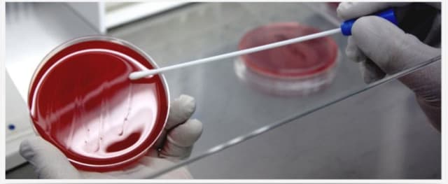 Centro Antidiabete Schiavo - Immagine 2