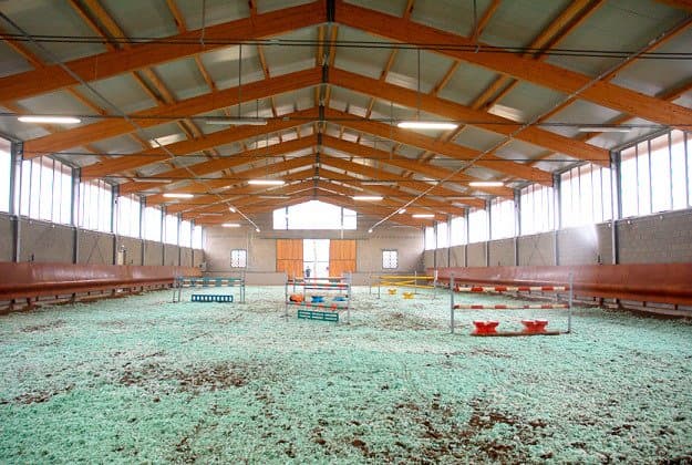 Centro Ippico del Vignale - Immagine 2