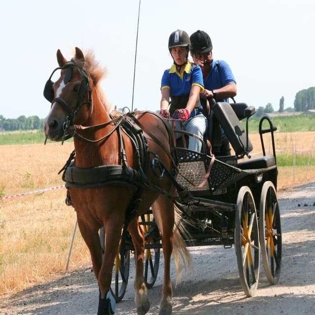 Centro Ippico Visola - Immagine 2