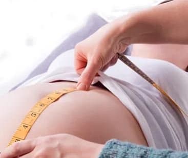 Centro Maia - Immagine 1