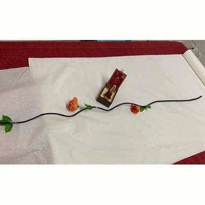 Centro Massaggi Sara Tui Na - Immagine 2