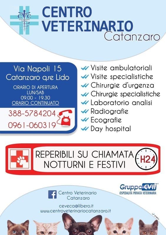 Centro Veterinario Catanzaro - Immagine 1