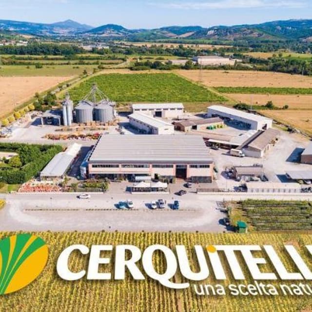 Cerquitelli 1980 - Immagine 1