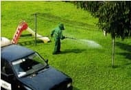 Ceserani - Immagine 2