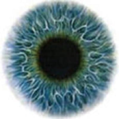 Cevolani Dr. Riccardo - Immagine 1