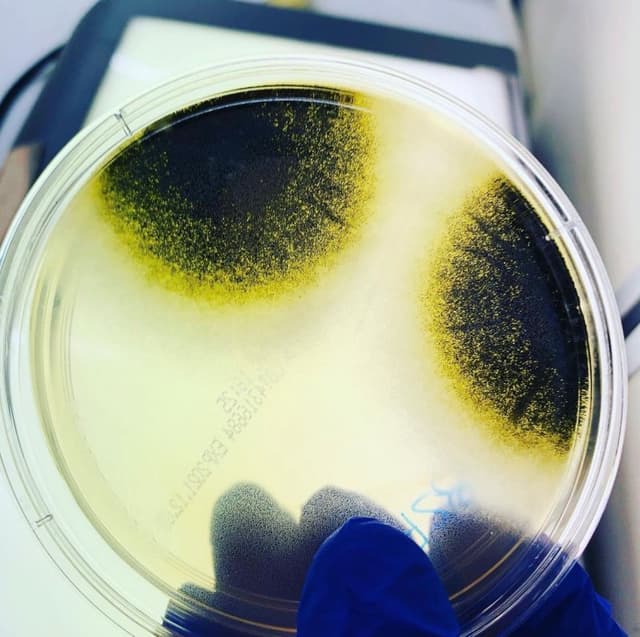 Chemica Lab - Immagine 2