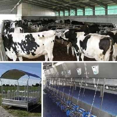 Chiesa - Attrezzature Zootecniche - Immagine 1