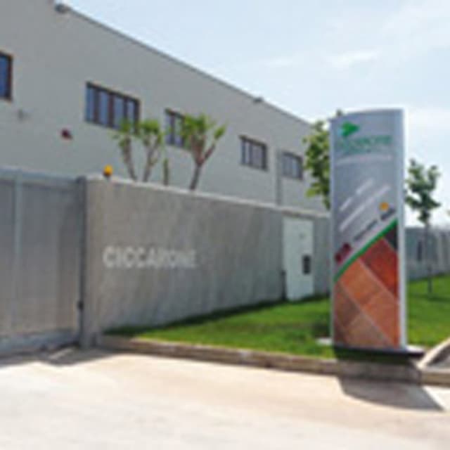 Ciccarone Legno - Immagine 2