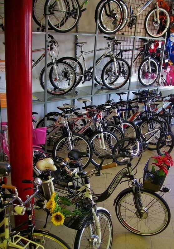 Cicli e Scooter   Garlatti Sergio - Immagine 2