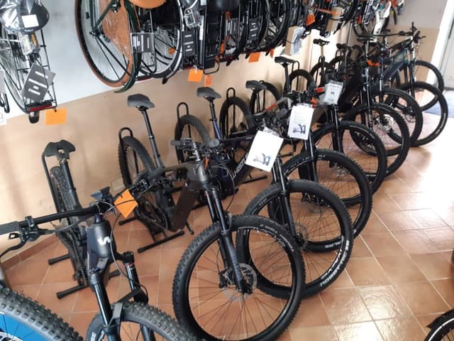 Cicli Enrico - Immagine 2