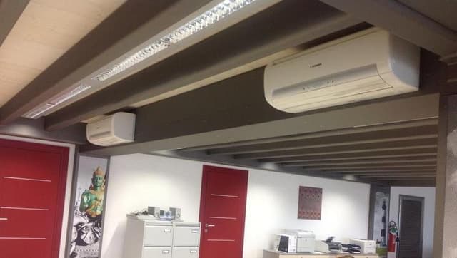 Cintoi Mauro & C. - Immagine 2