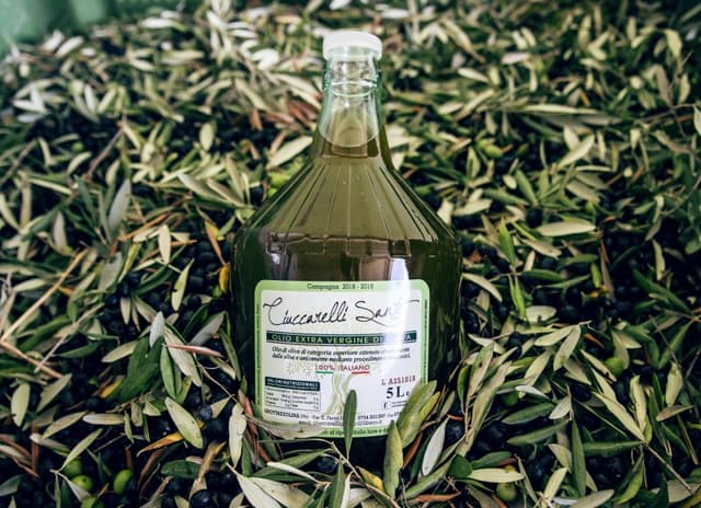 Ciuccarelli Sante srl - Immagine 1