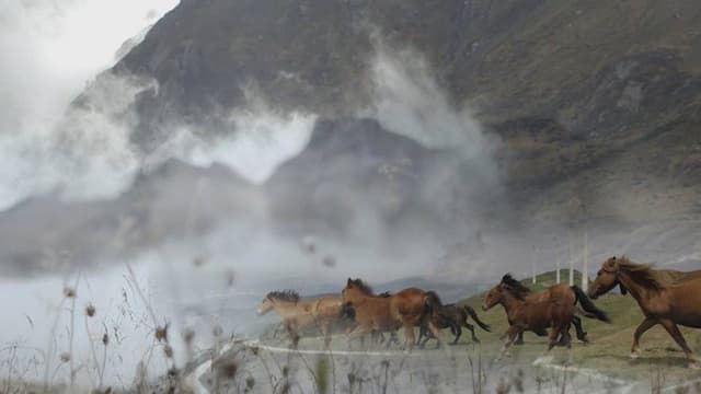 Clan Studio - Immagine 2