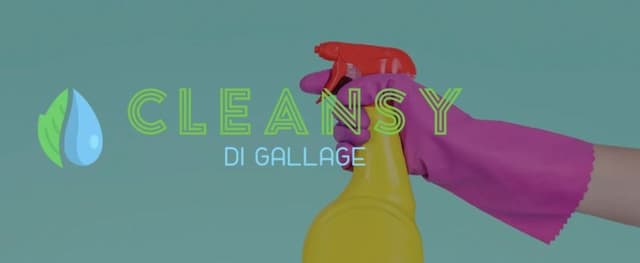 Cleansy di Gallage - Immagine 1