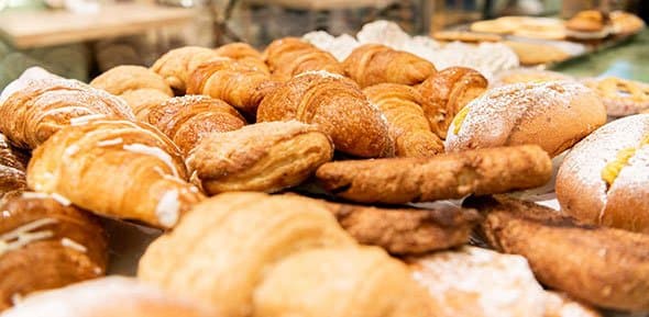 Coccinella Bio - Immagine 2