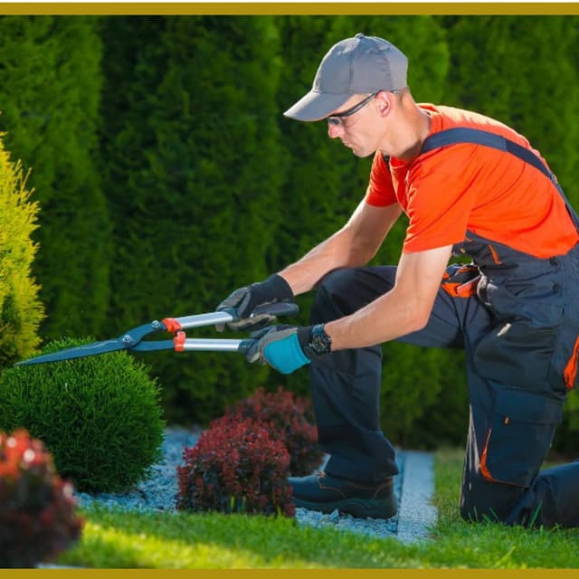 Commerciale Servizi - Immagine 2