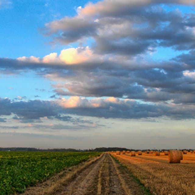 Consulenze Ambientali - Immagine 1