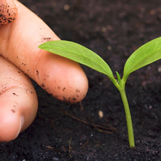 Consulenze Ambientali - Immagine 2