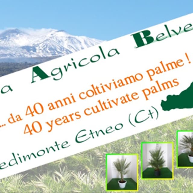 Cooperativa agricola Belvedere - Immagine 1