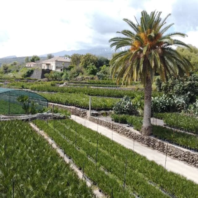 Cooperativa agricola Belvedere - Immagine 2