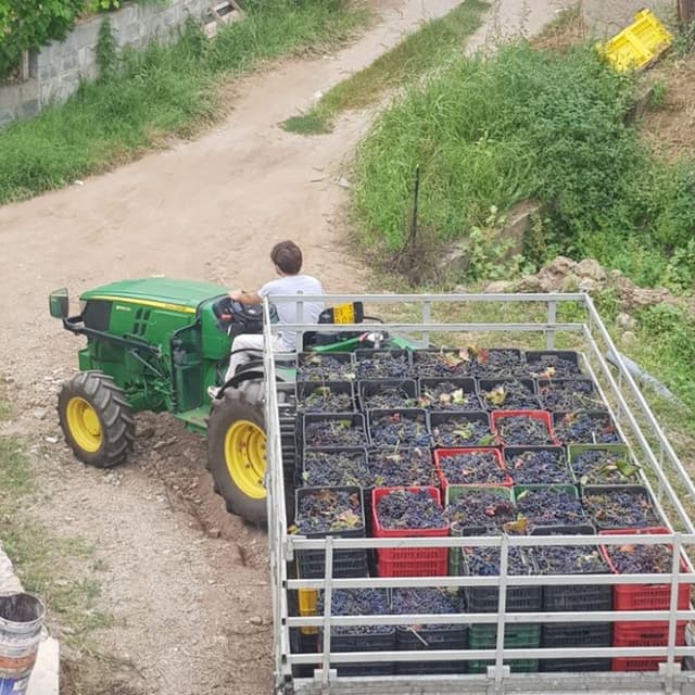 Cooperativa Cinque Talenti - Immagine 1