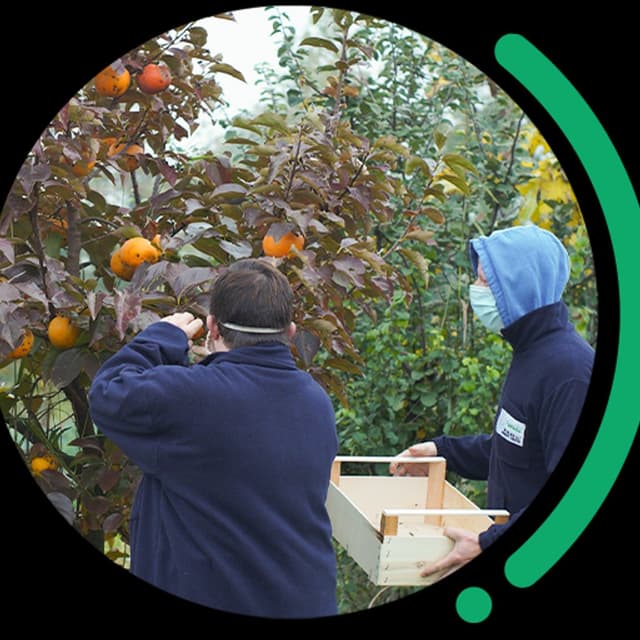 Cooperativa Sociale Approdo - Immagine 1