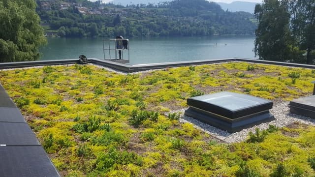 Coperture Vegetali - Immagine 1