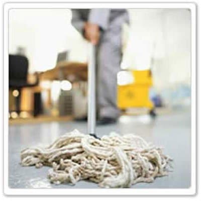 Costa Service - Immagine 2