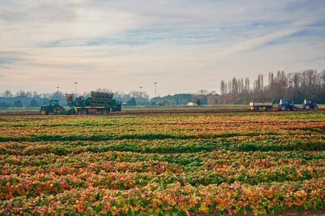 Coviro S.r.l. - Immagine 1