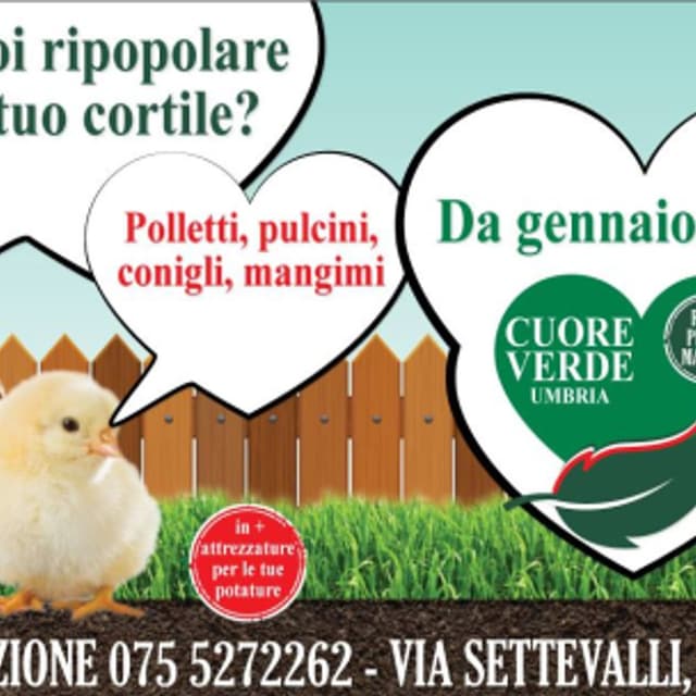 Cuore Verde Umbria - Immagine 1