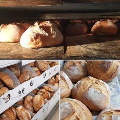 D&A Panificio di D'accardi &Asprella - Immagine 1