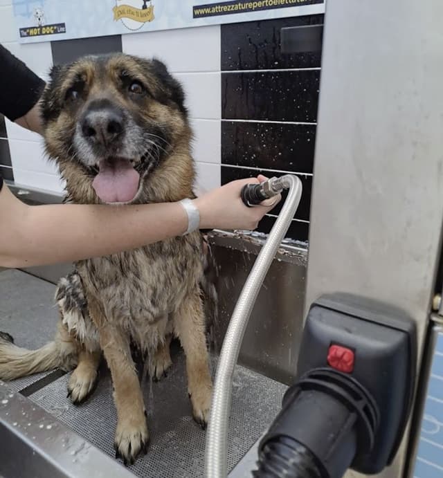 Dai Che Ti Lavo! - Immagine 1