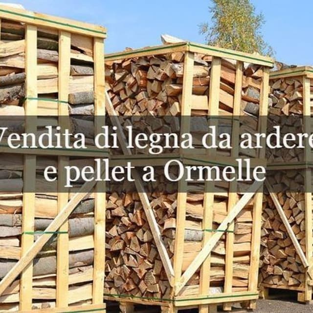 Daniel Luigino - Immagine 1