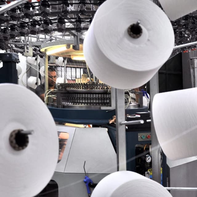 Dbs Tessuti S.r.l. - Immagine 2