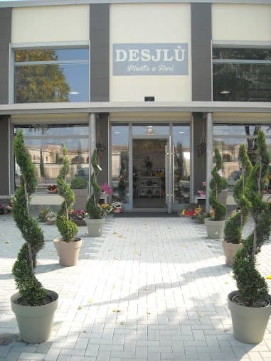 Desjlù Piante e Fiori - Immagine 1