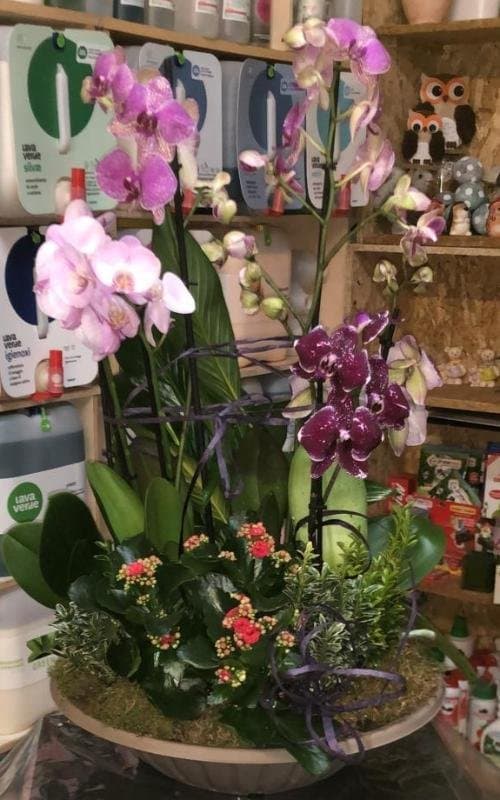 Di Fiore in Fiore - Immagine 2