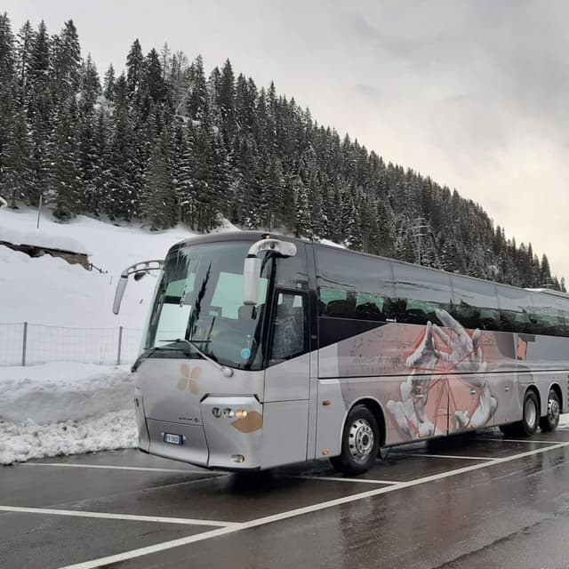 Dilancar Low Cost Srl - Immagine 1