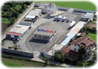 Dipogas - Immagine 1