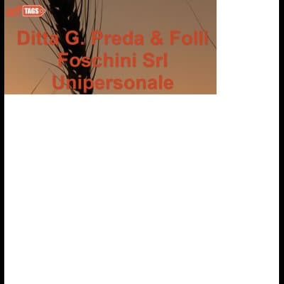 Ditta G. Preda & Folli Foschini - Immagine 1