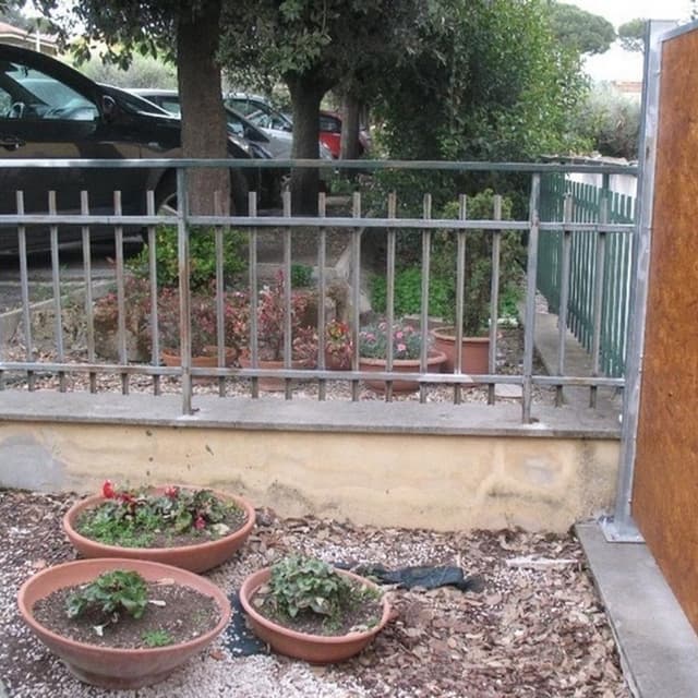 D.L.S. Servizi per Il Giardinaggio - Immagine 2