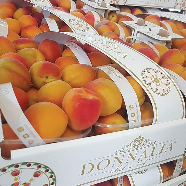 Donnalia Fruit - Immagine 2