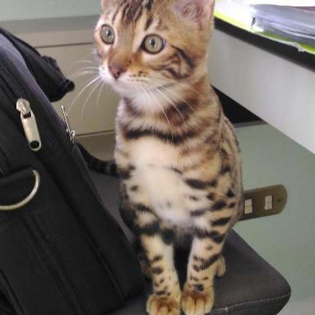 Dott. Amendola Biagio - Immagine 1