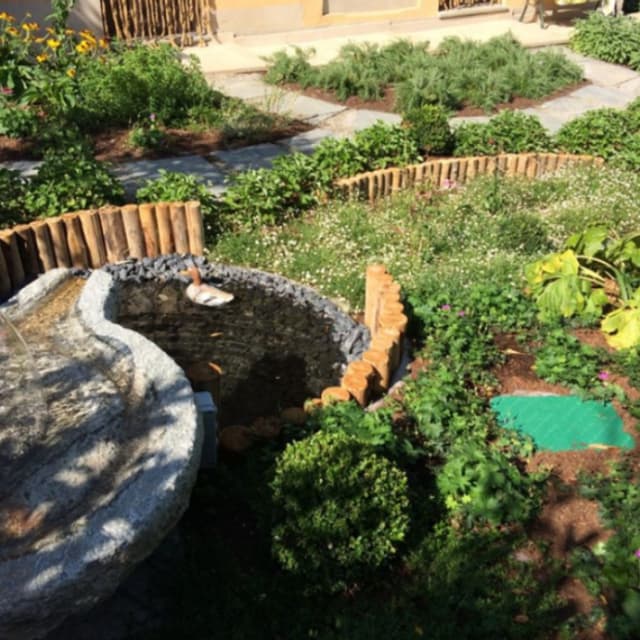 Dotta Service - Immagine 1