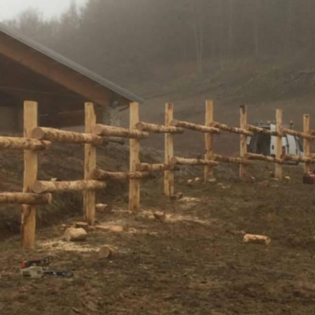 Dotta Service - Immagine 2