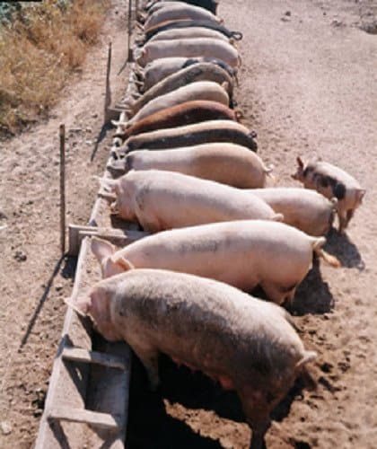 Eco Impianti - Immagine 1